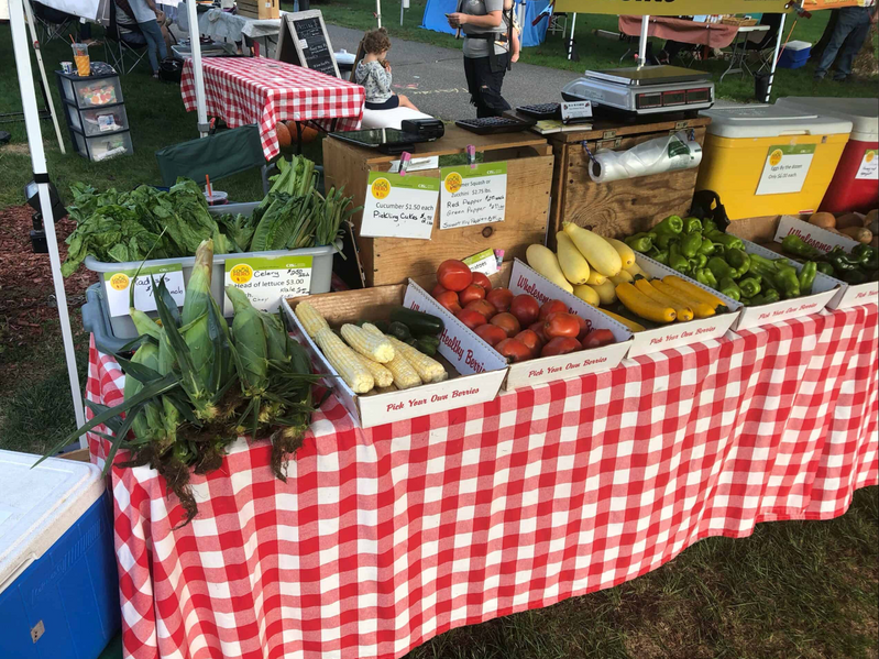 Friends Market Springfield Downtown Springfield Farmers Market