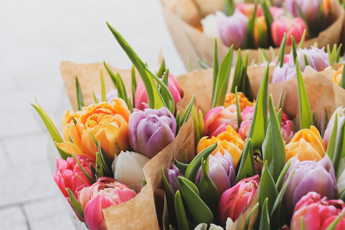 Close Up Photo of Bouquet of Flowers